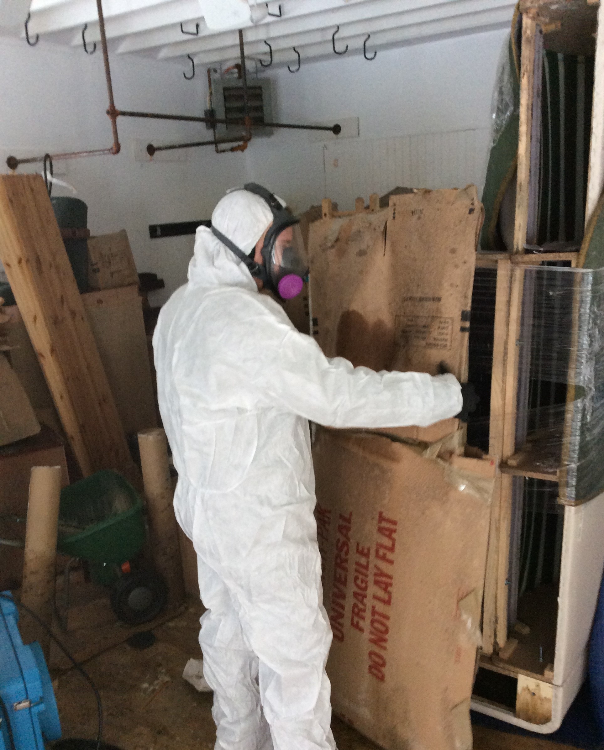 What Happens During Mold Remediation?